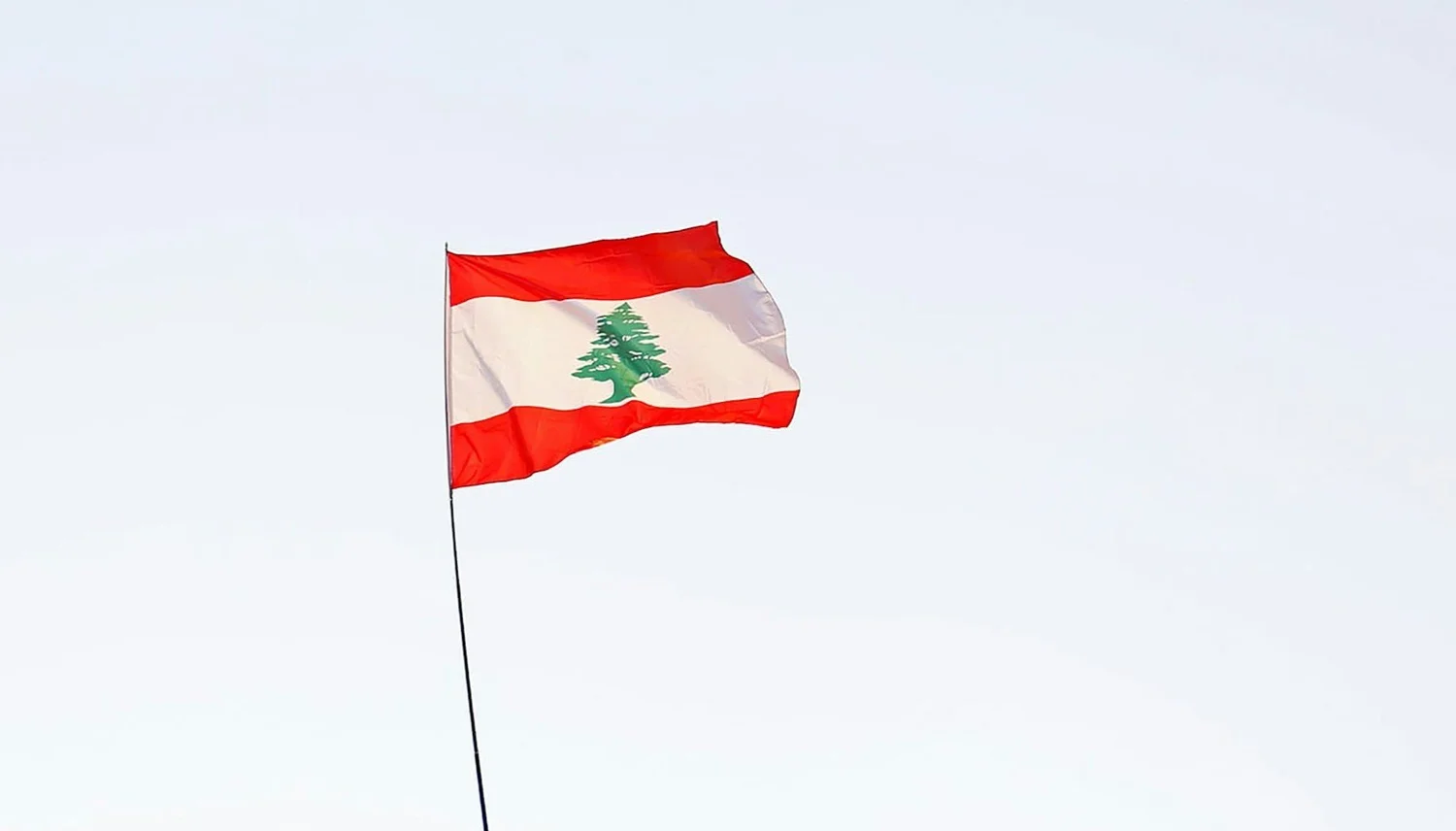 Flag of the Republic of Lebanon featuring the cedar tree on red and white bands.